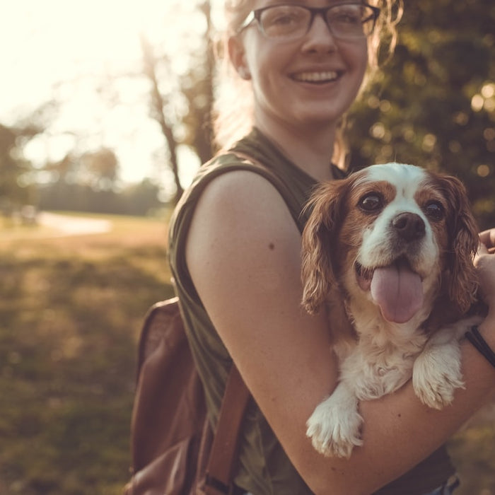 Helping Your Pet Overcome Separation Anxiety
