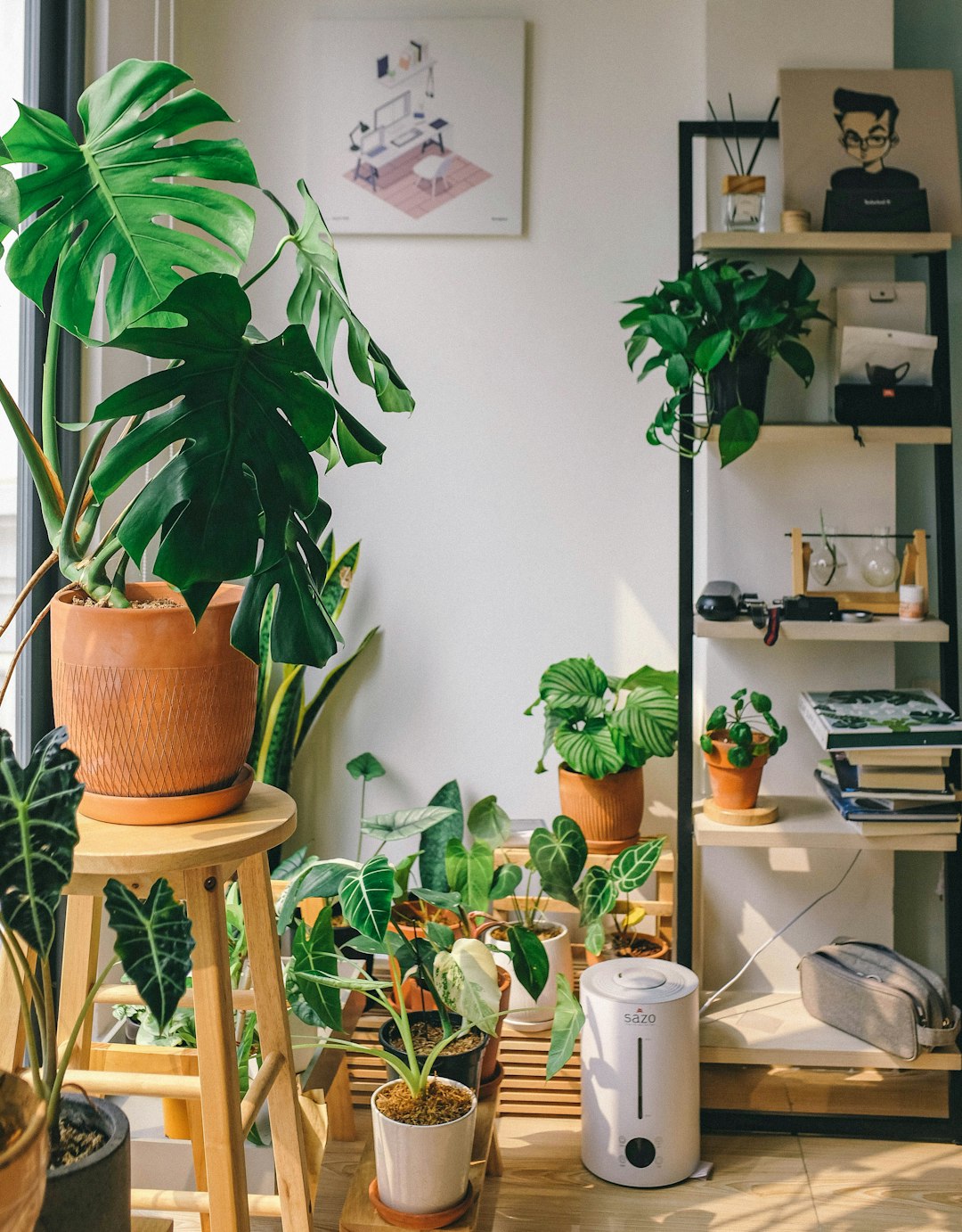 Pet-Friendly Houseplants and How to Care for Them