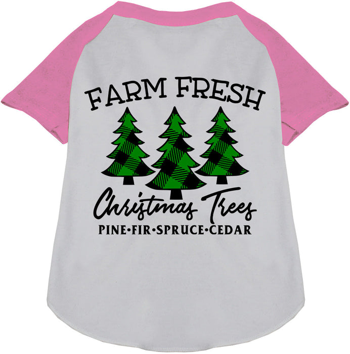 Farm Fresh Christmas Trees Pet Raglan Shirt