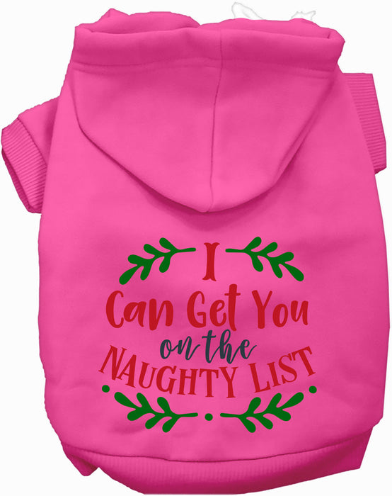 Can Get You on the List Christmas Pet Hoodie