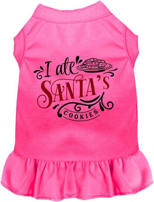 I Ate Santa's Cookies Pet Dress