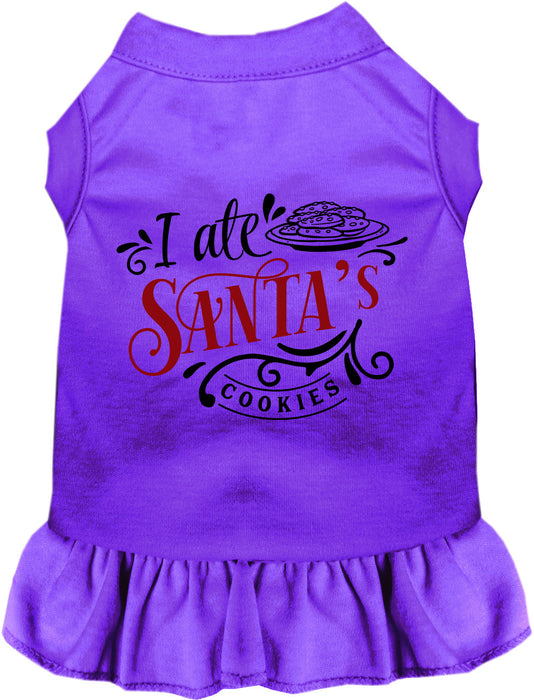 I Ate Santa's Cookies Pet Dress