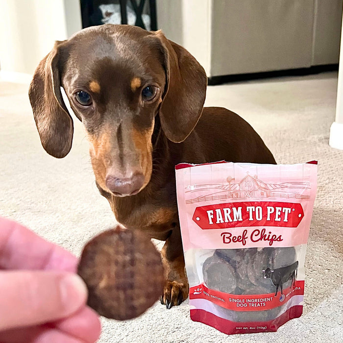 Beef Chips for Dogs