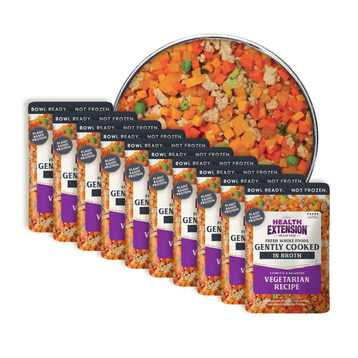 Gently Cooked Grain Free Vegetarian Recipe