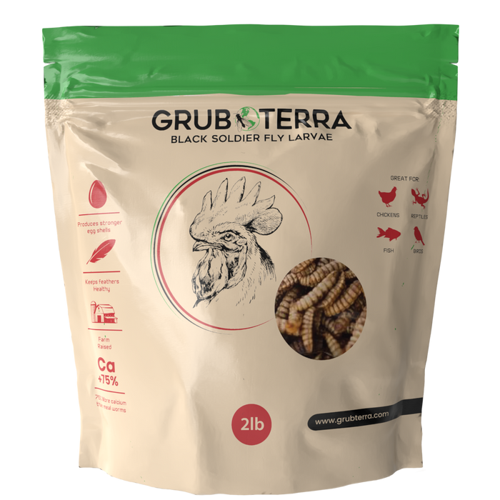 GrubTerra Dried Black Soldier Fly Larvae - The Safest Treat For Your Flock