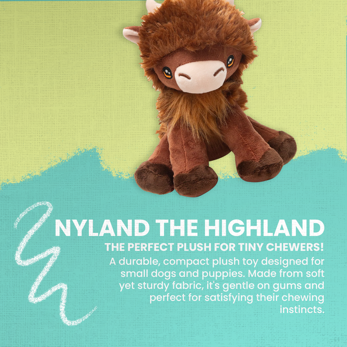 Nyland the Highland