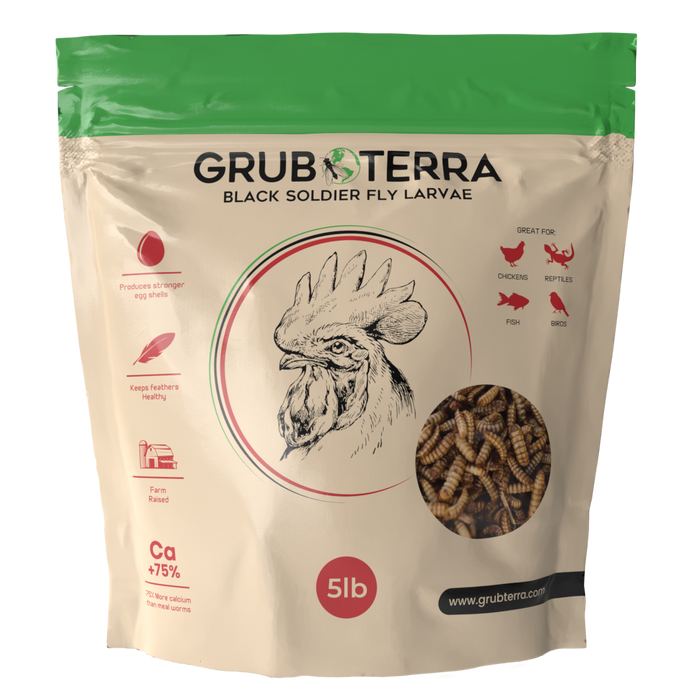 GrubTerra Dried Black Soldier Fly Larvae 10lb