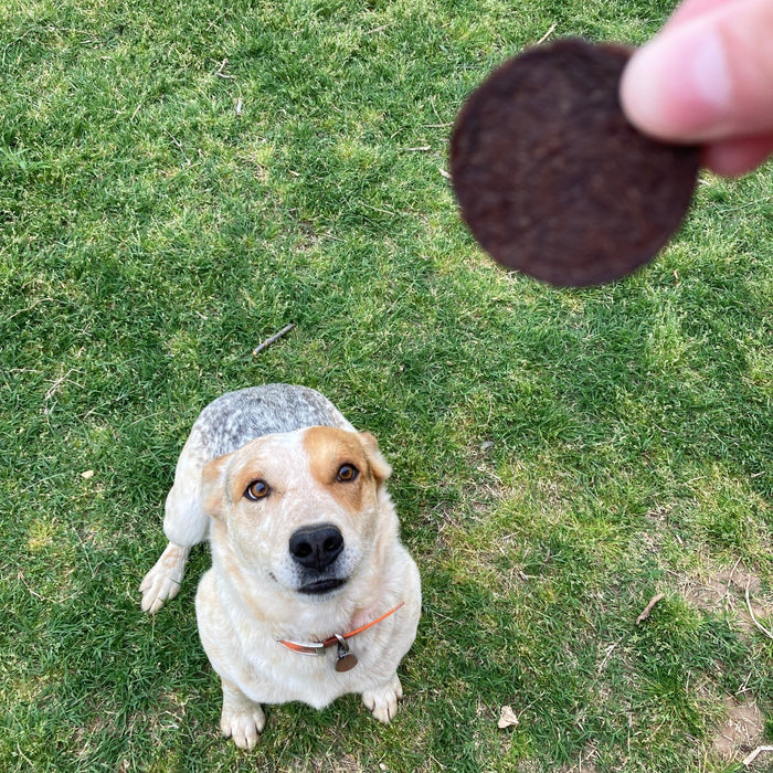 Beef Chips for Dogs