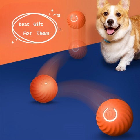 Pet Electric Rubber Ball