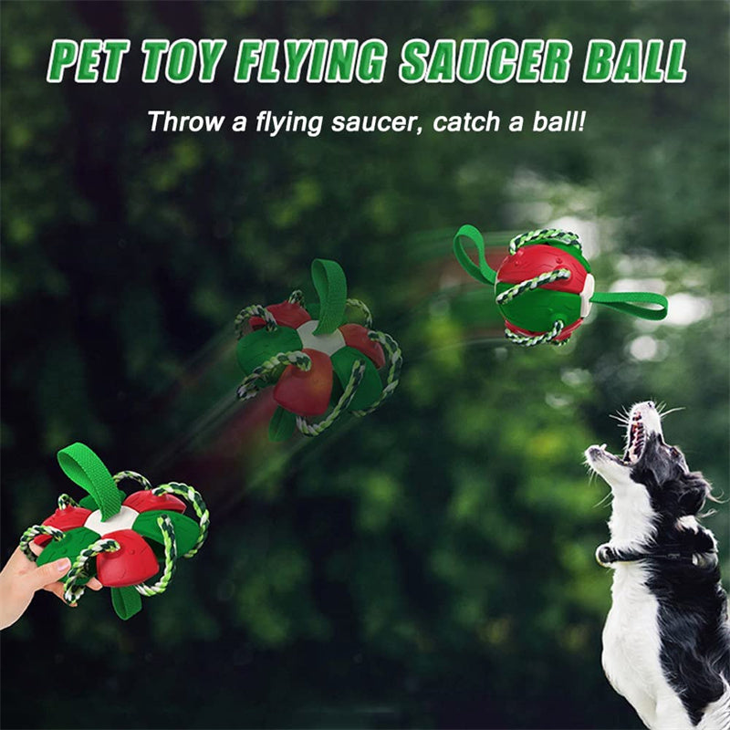 Pet Flying Saucer Ball - NALA'S Pet Closet
