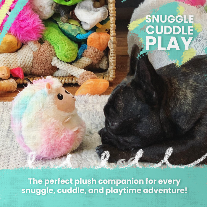 Baby 1st Rodeo