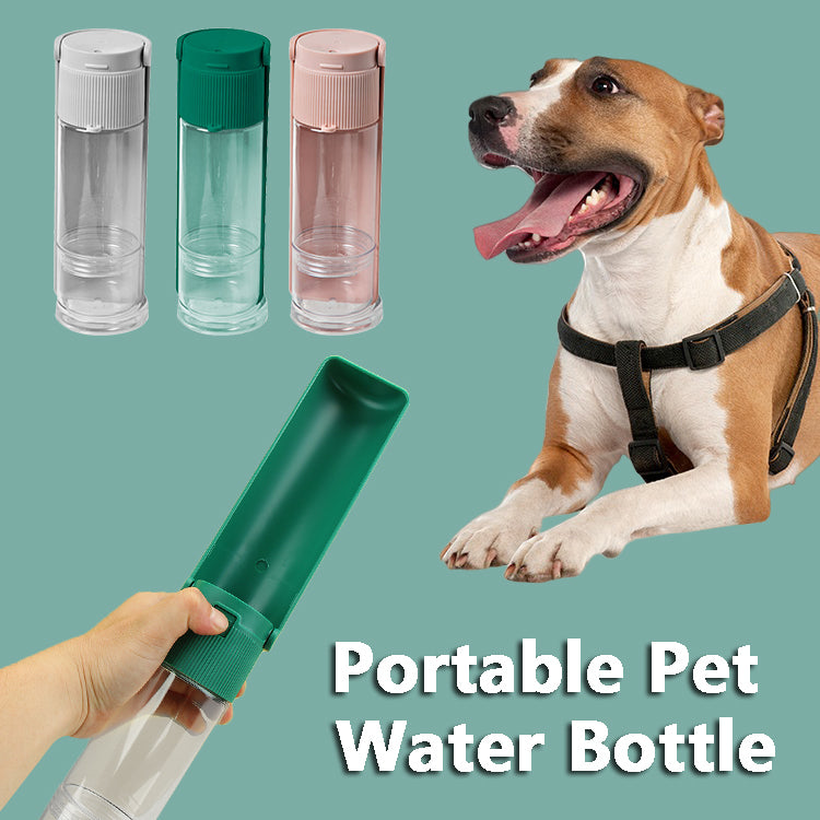 2-in-1 Water Bottle & Feeder - NALA'S Pet Closet