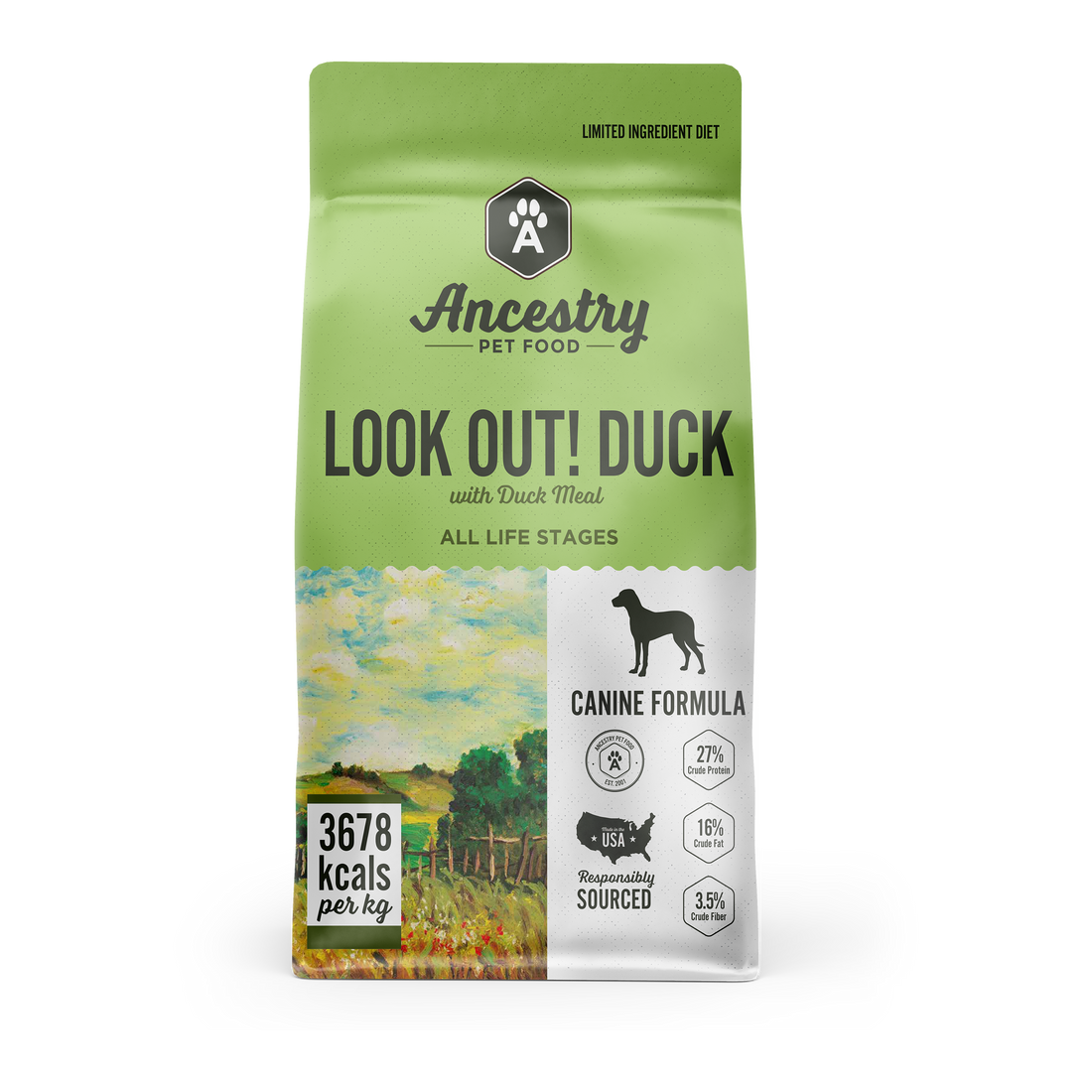 Look Out! Duck