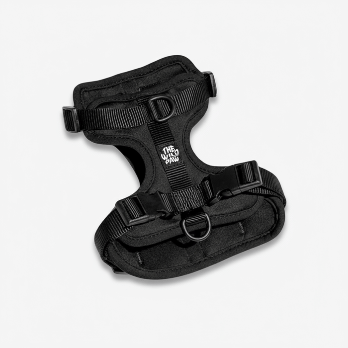 AdventurePro Harness