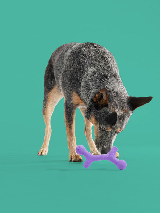 BallBone MAX