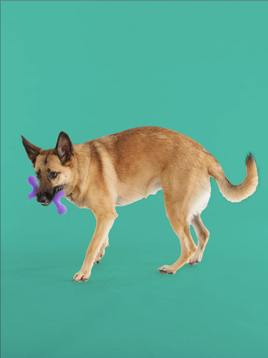 BallBone MAX