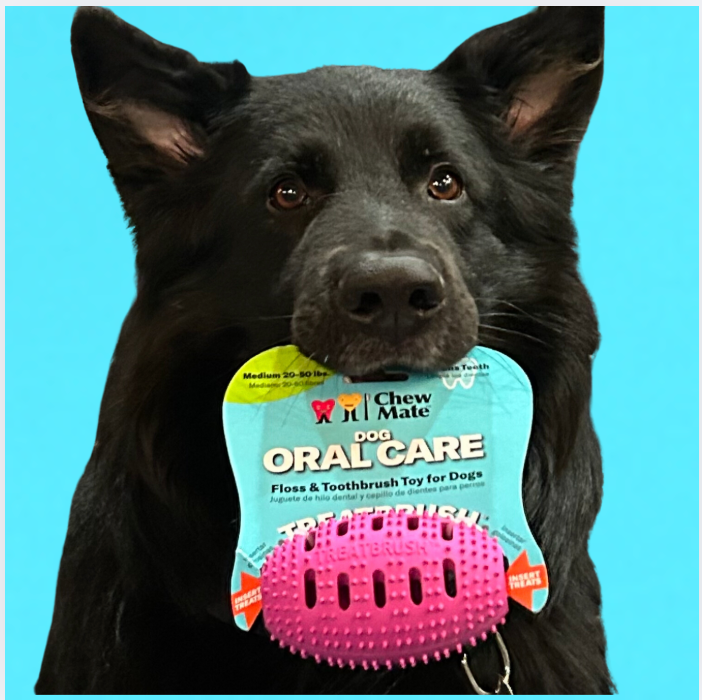 Natural Rubber Football Oral Care Toy
