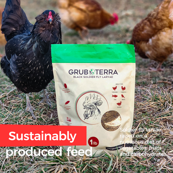 GrubTerra Dried Black Soldier Fly Larvae 10lb