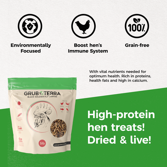 GrubTerra Dried Black Soldier Fly Larvae - The Safest Treat For Your Flock