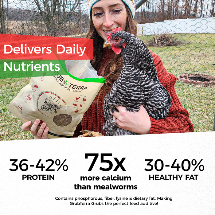 GrubTerra Dried Black Soldier Fly Larvae - The Safest Treat For Your Flock