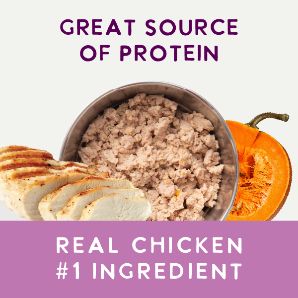 Digestive Support, Chicken & Pumpkin Entrée in Gravy 9oz