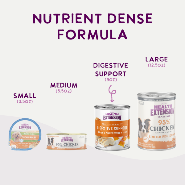 Digestive Support, Turkey & Sweet Potato Entrée in Gravy 9oz