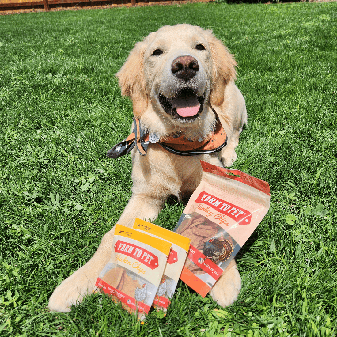 Puppy Packs 'N Snacks Dog Treat Starter - NALA'S Pet Closet