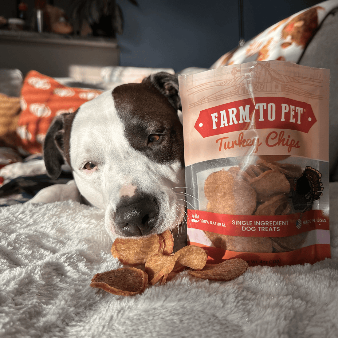 Turkey Chips for Dogs - NALA'S Pet Closet