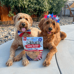 Americana Chicken Chips for Dogs - NALA'S Pet Closet