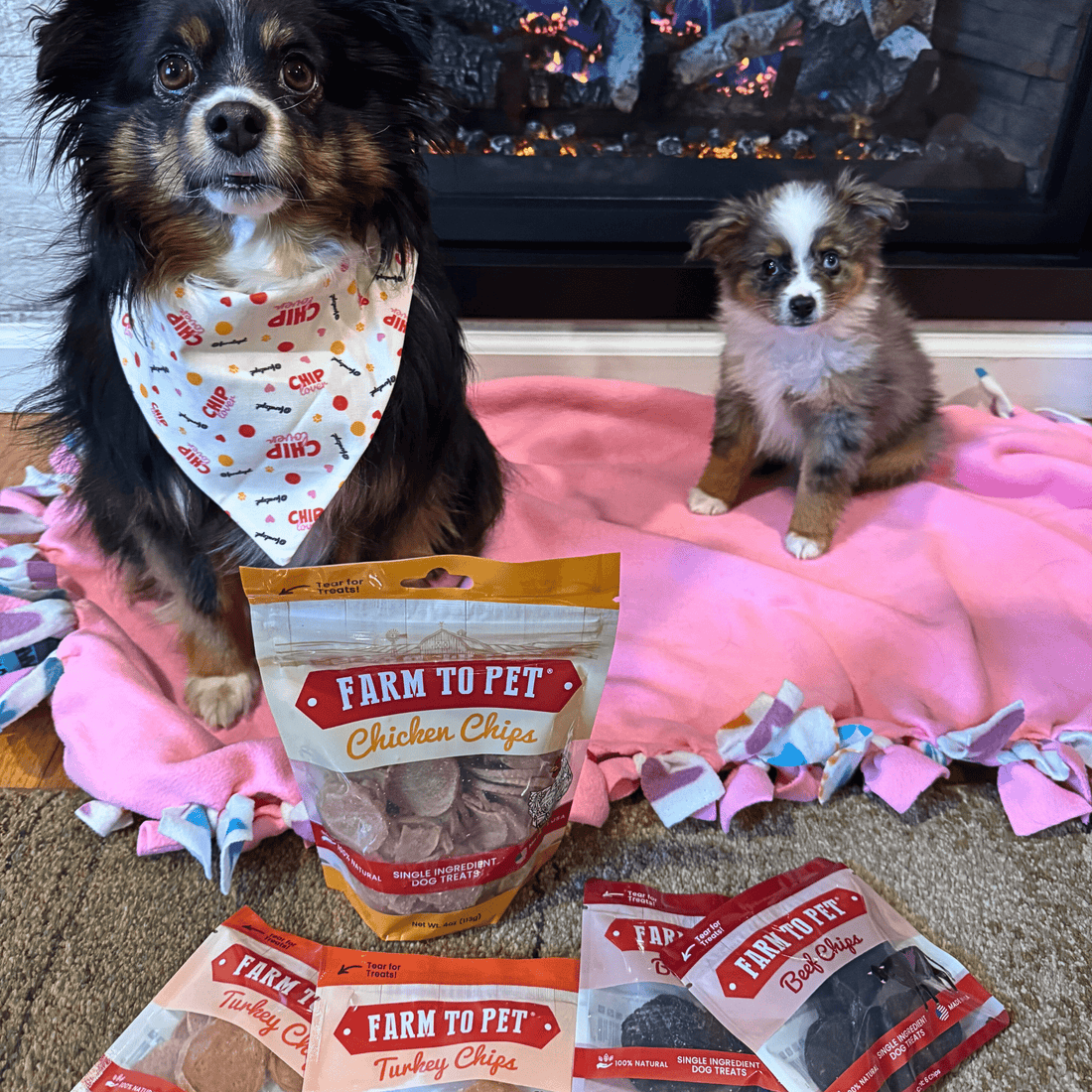 Puppy Packs 'N Snacks Dog Treat Starter - NALA'S Pet Closet