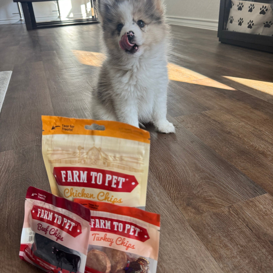 Puppy Packs 'N Snacks Dog Treat Starter - NALA'S Pet Closet
