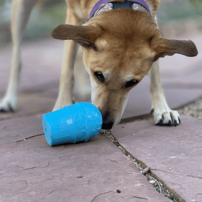 Dog Treat Dispensers