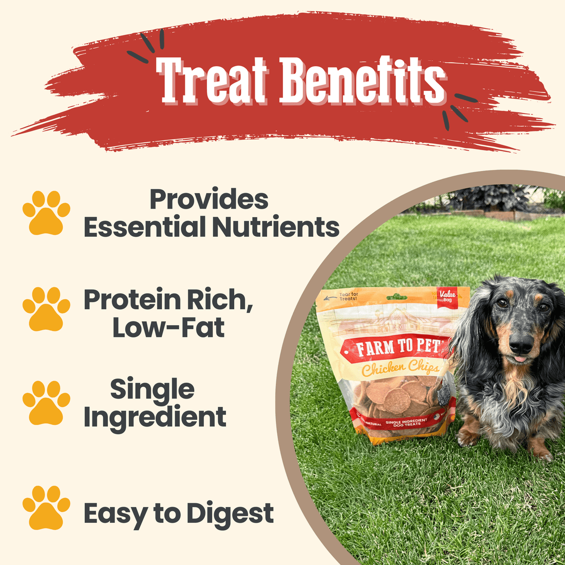 Chicken Chips for Dogs - NALA'S Pet Closet