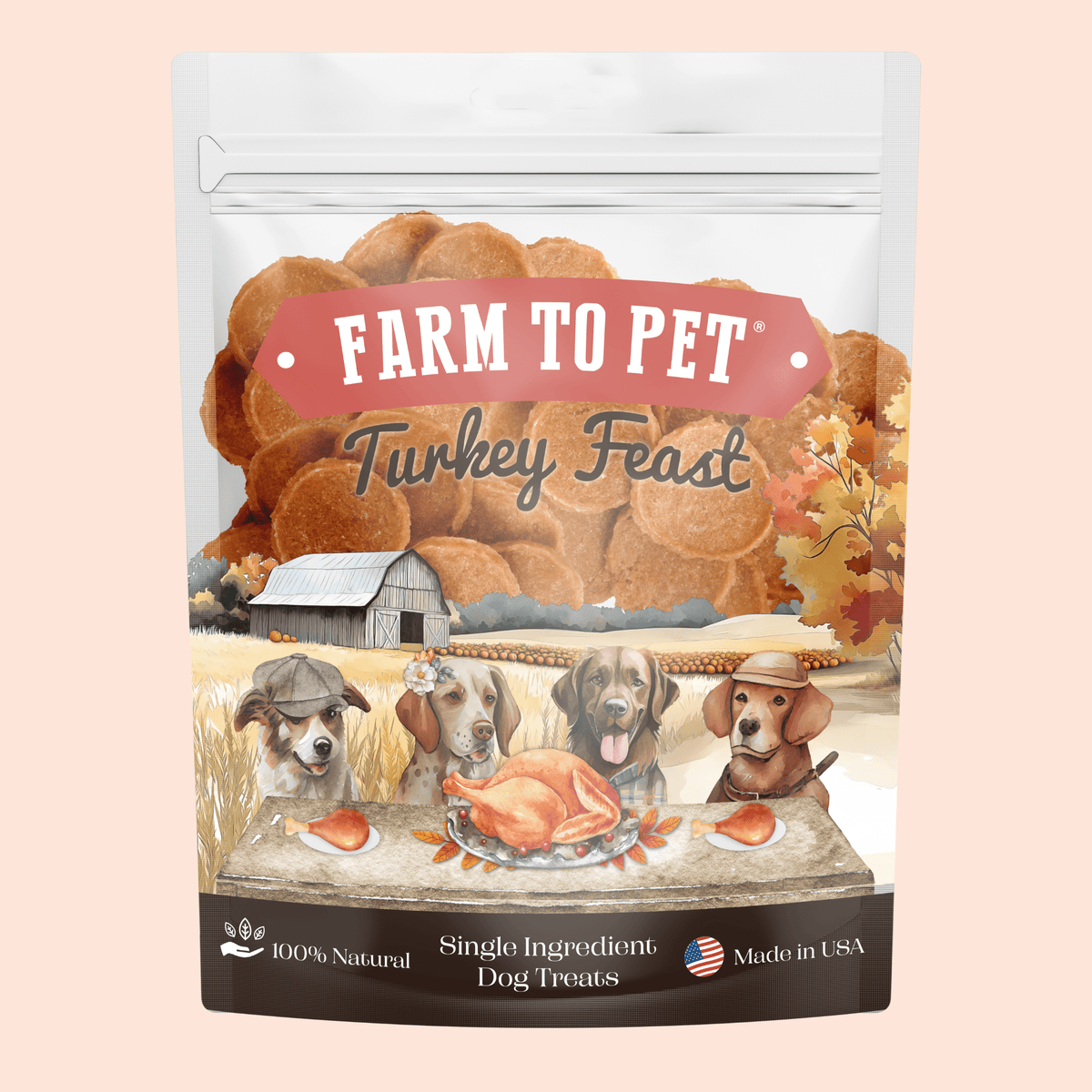 Turkey Feast Chips | Thanksgiving Turkey Dog Treats