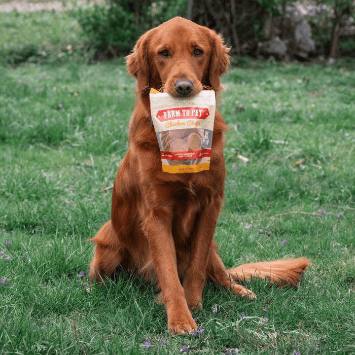 Chicken Chips for Dogs