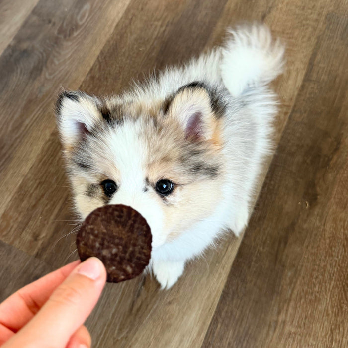 Beef Chips for Dogs