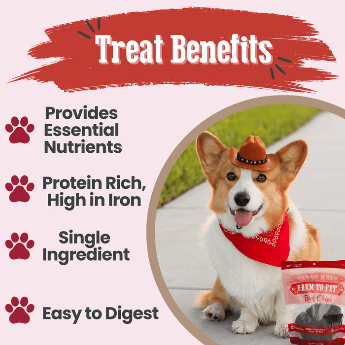 Beef Chips for Dogs - NALA'S Pet Closet