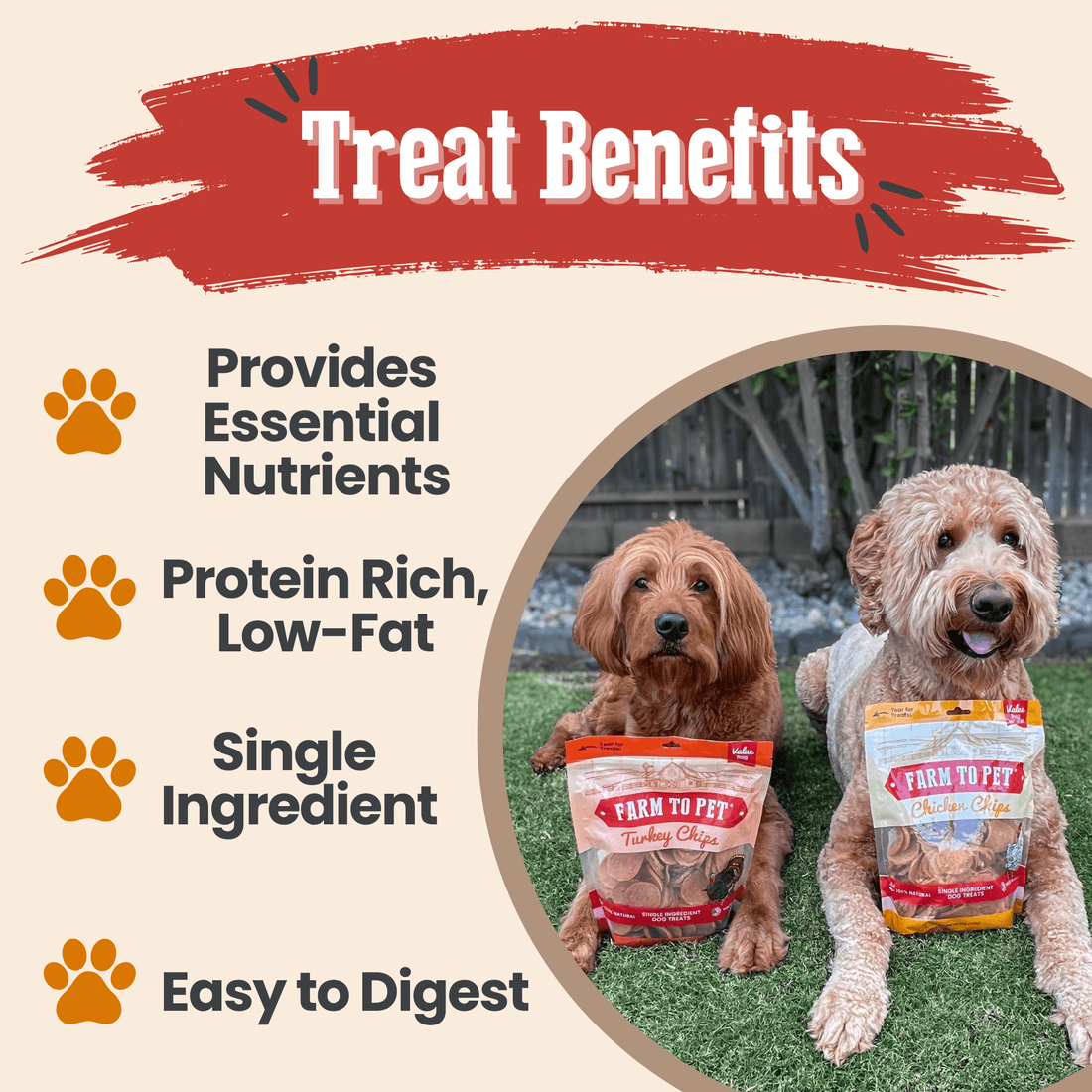 Chicken & Turkey Dog Treat Bundles - NALA'S Pet Closet