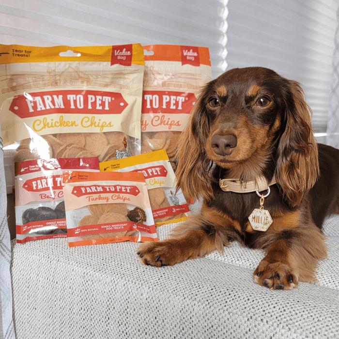 Chicken & Turkey Dog Treat Bundles