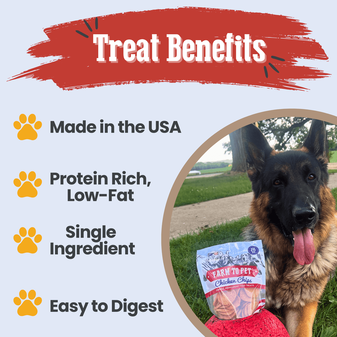 Americana Chicken Chips for Dogs - NALA'S Pet Closet