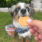 Americana Chicken Chips for Dogs - NALA'S Pet Closet