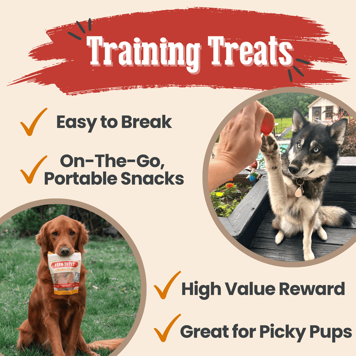 Chicken & Turkey Dog Treat Bundles