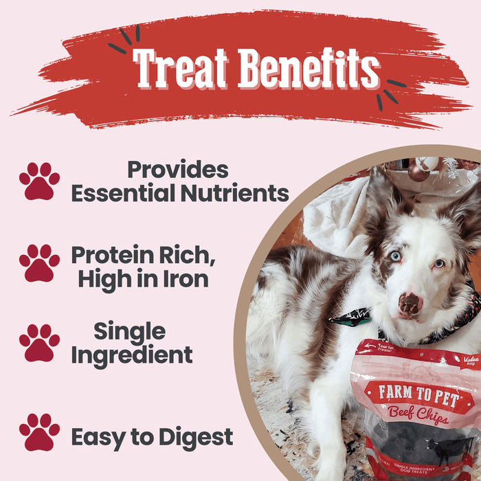 Beef Chips for Dogs - NALA'S Pet Closet