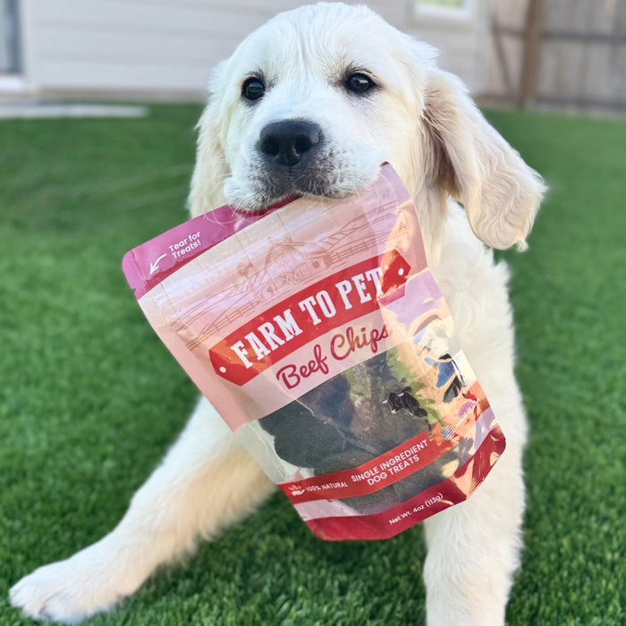 Beef Chips for Dogs - NALA'S Pet Closet