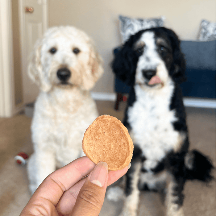 Chicken Chips for Dogs - NALA'S Pet Closet
