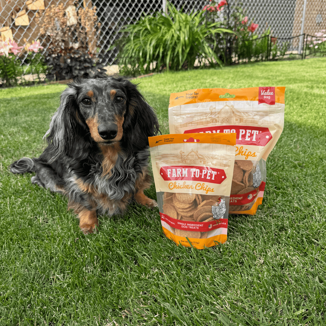 Chicken Chips for Dogs - NALA'S Pet Closet