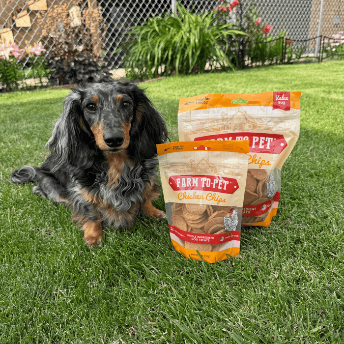 Chicken Chips for Dogs - NALA'S Pet Closet