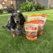 Chicken Chips for Dogs - NALA'S Pet Closet