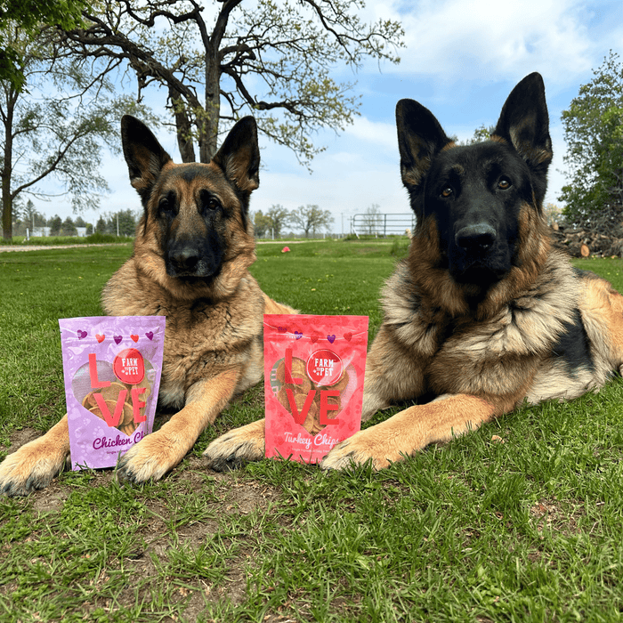 Doggy Love Chips Bundle