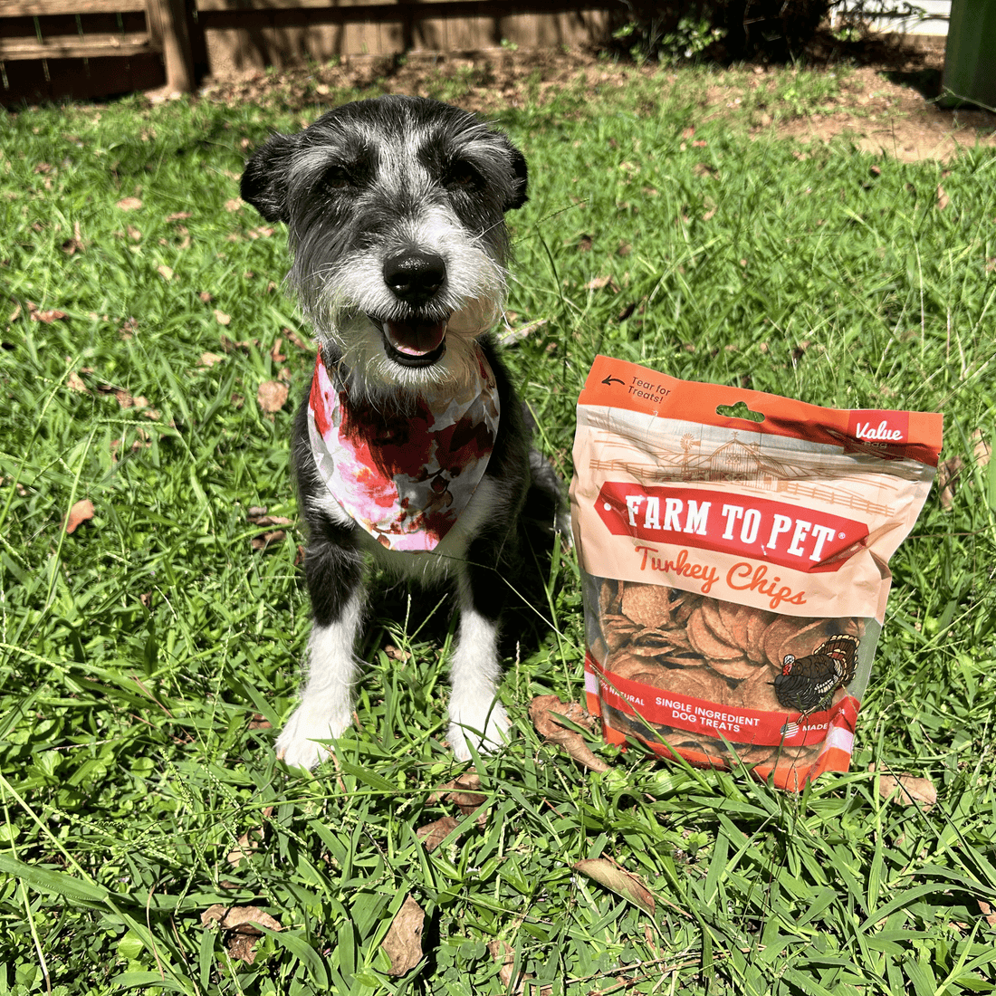 Turkey Chips for Dogs - NALA'S Pet Closet